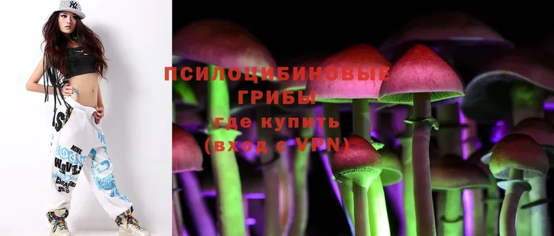 закладки  Амурск  hydra ТОР  Галлюциногенные грибы Psilocybe 